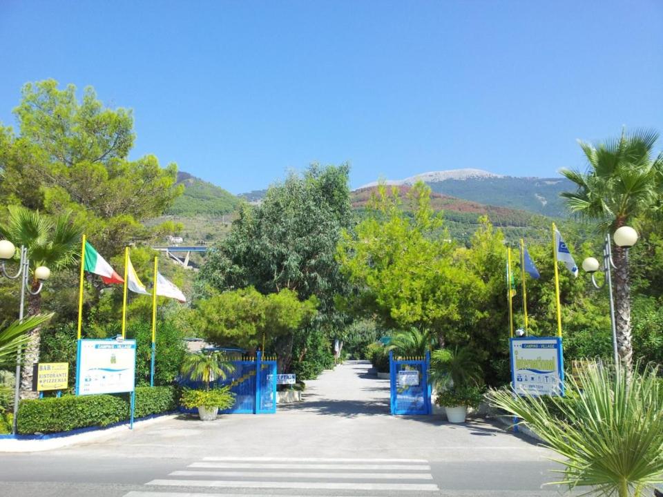 international camping village international camping village